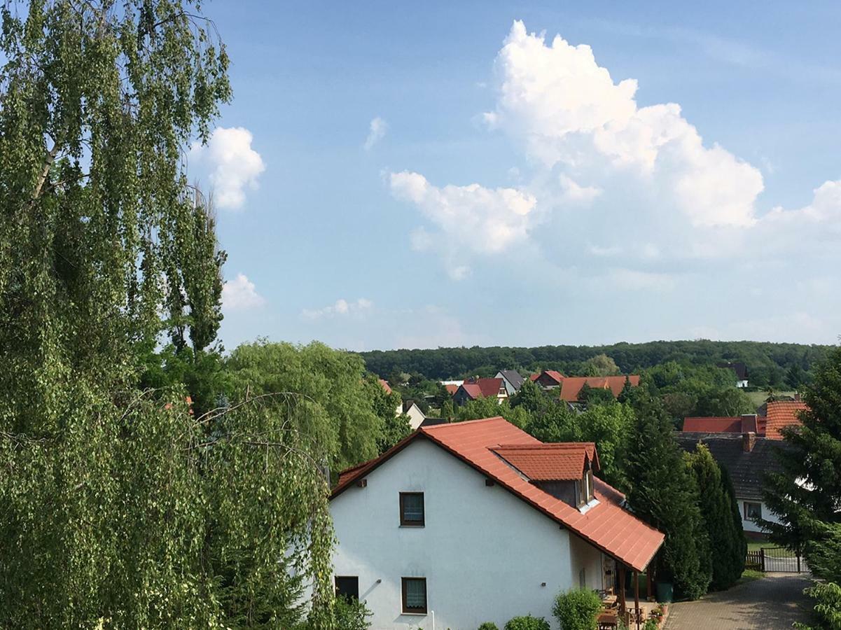 Ferienwohnung Zur Himmelsscheibe Ziegelroda Εξωτερικό φωτογραφία
